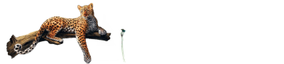 Footer Logo