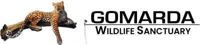Footer Logo